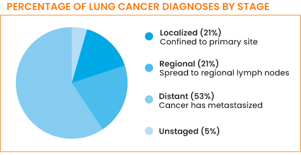 Pie chart showing lung cancer percentages by stage