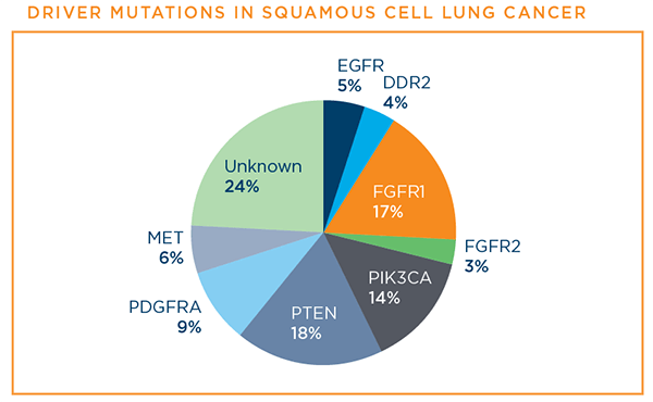 Driver mutations in squamous cell lung cancer