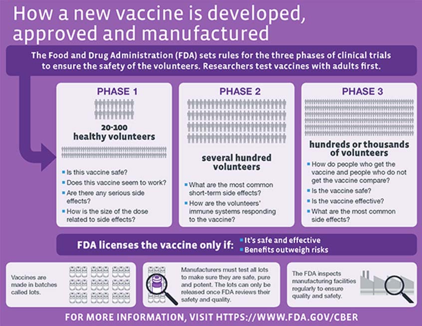 Vaccine development graphic