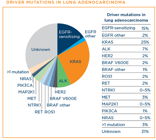 Types of Lung Cancer LUNGevity Foundation