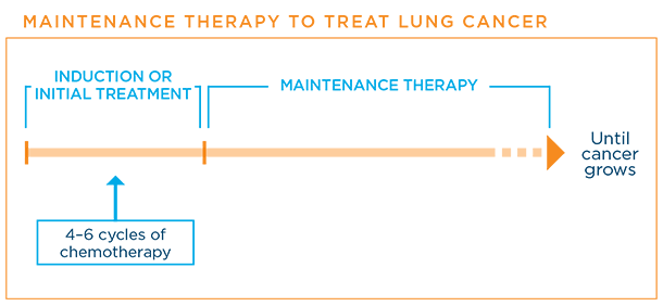 Maintenance therapy schedule for lung cancer