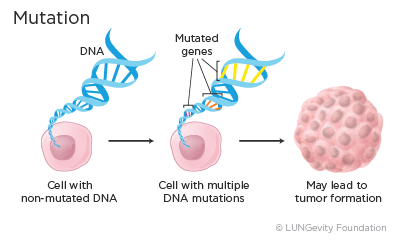 Biomarker Tests  LUNGevity Foundation