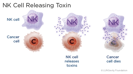 NK cell releasing toxin