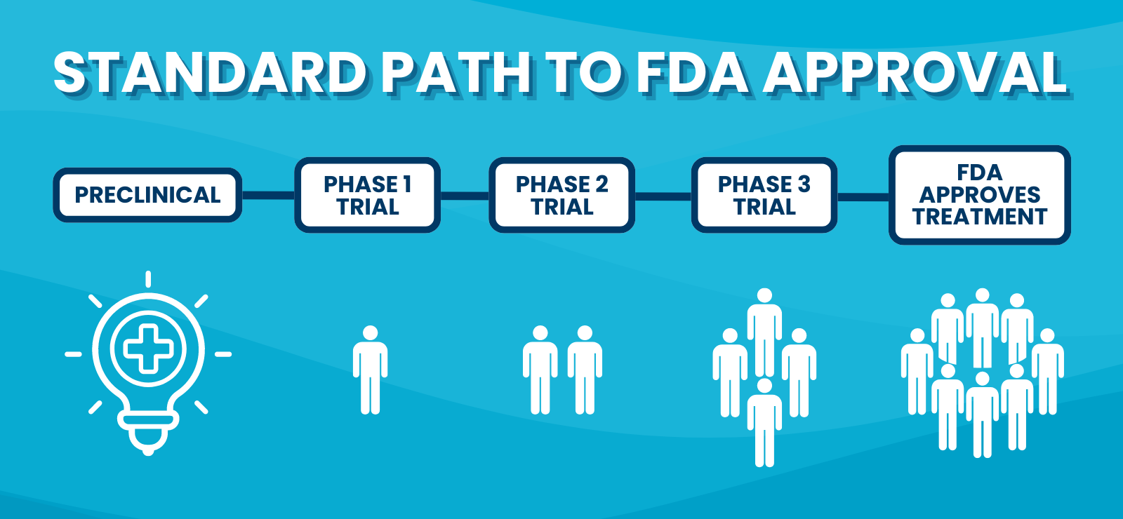 The standard path a new treatment must go through to be approved by the FDA. Includes going through three clinical trial phases.